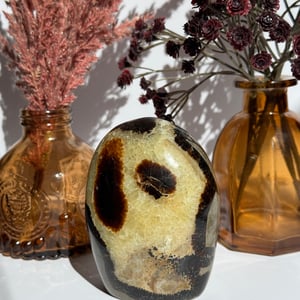 Septarian Freeform