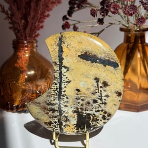 Picture Jasper Moon