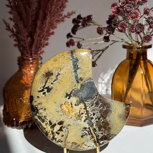 Picture Jasper Moon