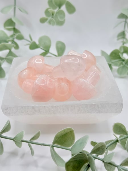 Mini rose quartz mushies - mom