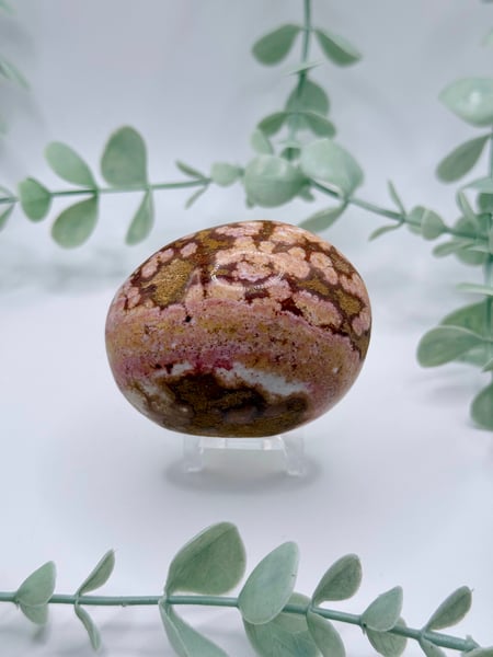 Sea Jasper Palmstone  Amanda