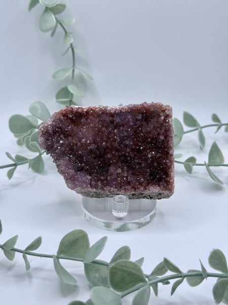 Alacam Amethyst  Amanda