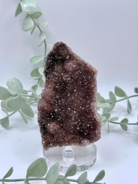 Alacam Amethyst Amanda
