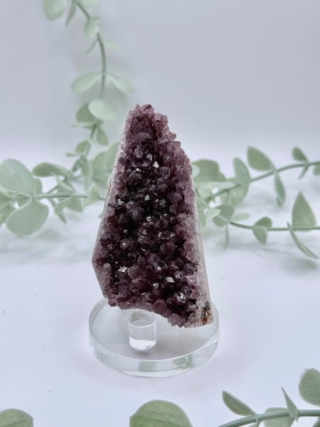 Alacam Amethyst  Amanda