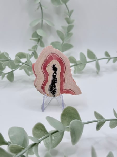 Rhodochrosite Slice