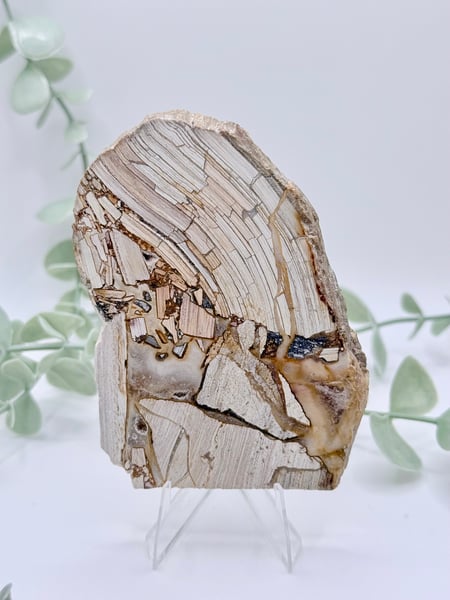 Opalized Breccia Slice