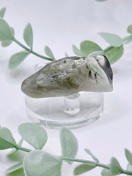 Tumbled Prasiolite