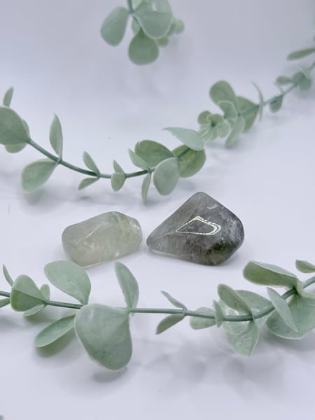 Tumbled Prasiolite