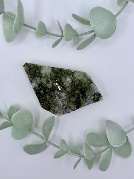 Fairy Forest Epidote With Quartz
