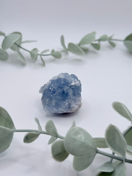 Celestite Cluster