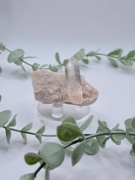 Himalayan Quartz Cluster