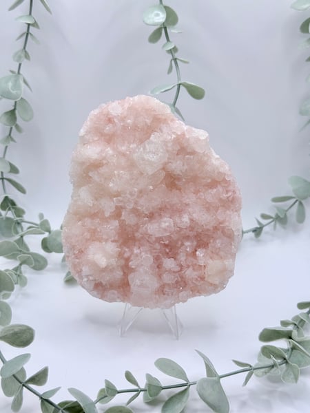 Pink Apophyllite