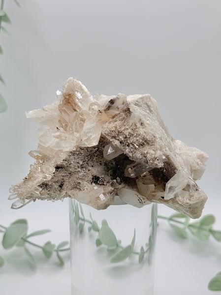 Himalayan Quartz Cluster