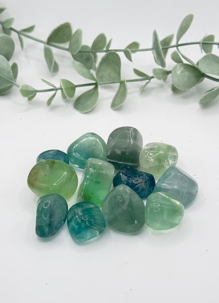 Green & Blue Fluorite Tumbles