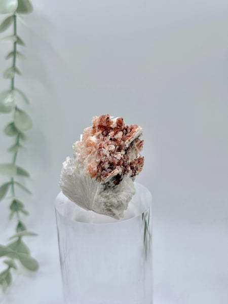 Apophyllite With Hematite On Mordenite