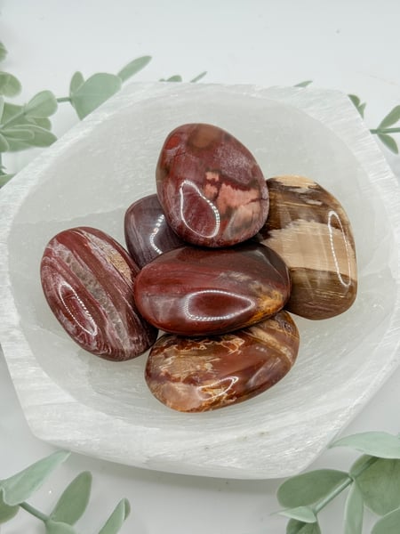 Small Petrified Wood Palmstone