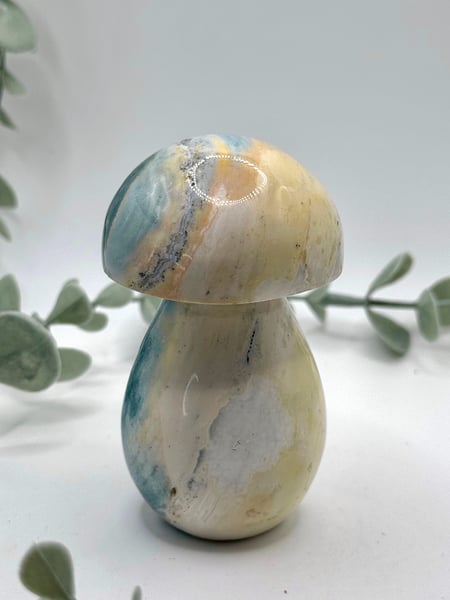 Sea Jasper Mushroom