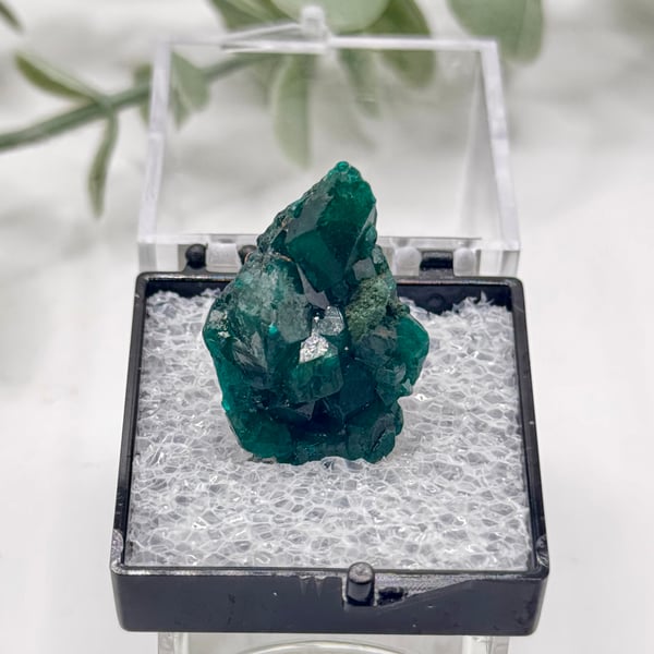 Dioptase - Congo