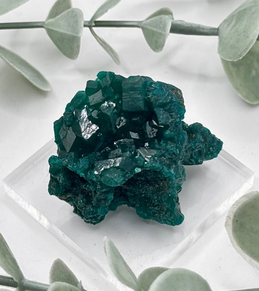 Dioptase - Congo