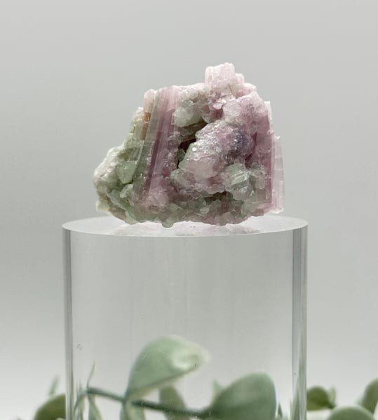 Watermelon Tourmaline