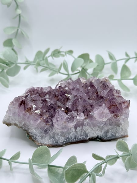 Amethyst Quartz Cluster - Brazil no photo