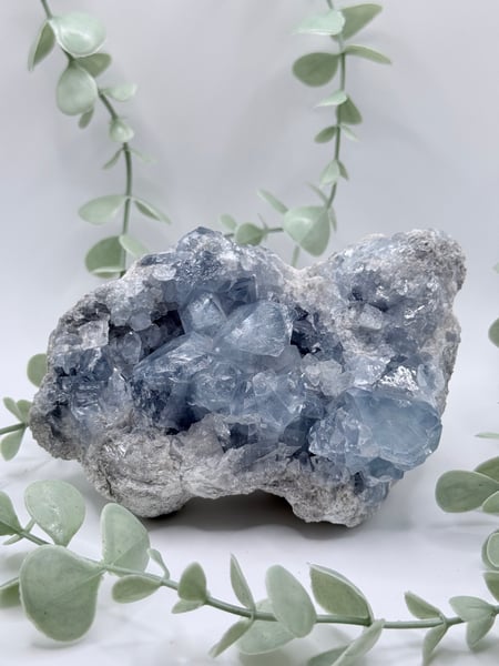 Celestite specimen