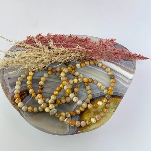 6mm Fossilized Coral Bracelet