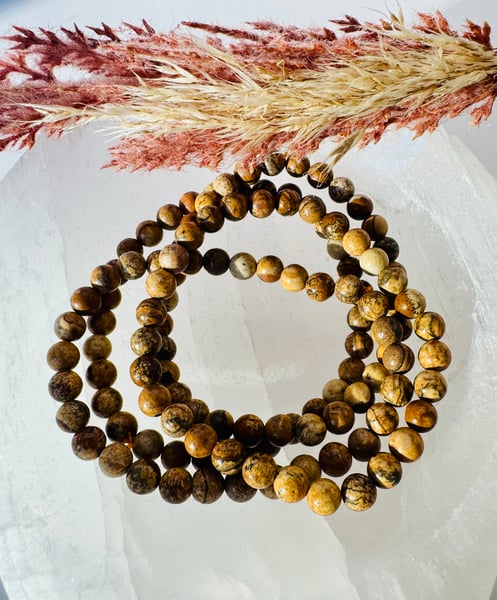 6mm Picture Jasper Bracelet