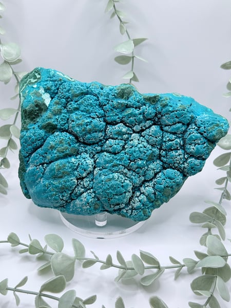 Malachite & Chrysocolla - Congo