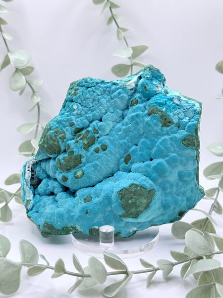 Malachite & Chrysocolla - Congo