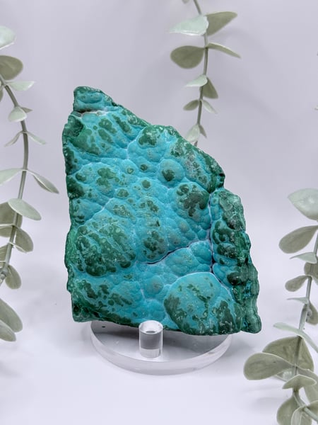 Malachite & Chrysocolla - Congo