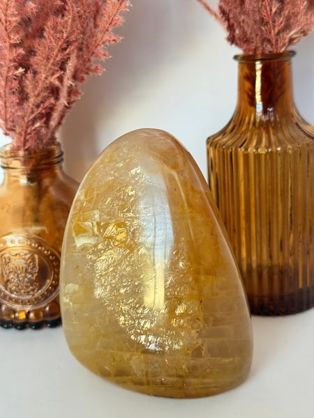 Golden Healer Freeform
