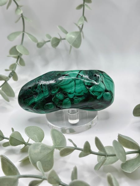Polished Malachite - Congo - Amanda