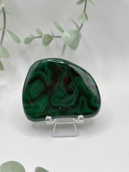 Polished Malachite - Congo  Amanda
