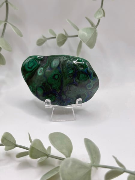 Polished Malachite - Congo Amanda