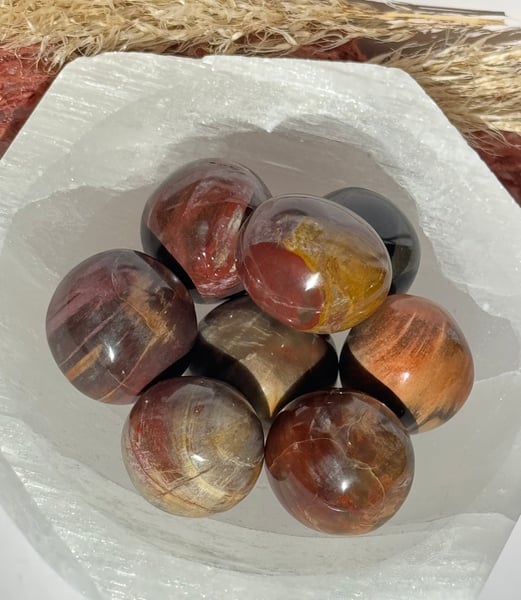 Rounded Petrified Wood Tumbles