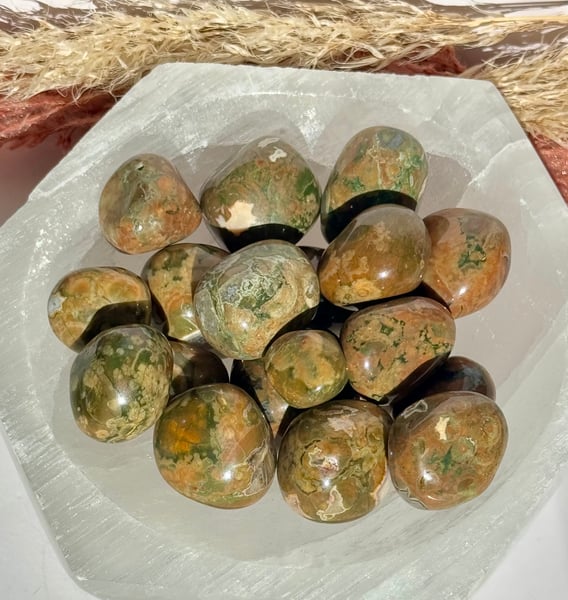 Rainforest Rhyolite Tumbles -  Set of 3