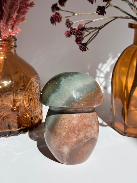 Polychrome Jasper Mushroom