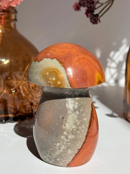 Polychrome Jasper Mushroom