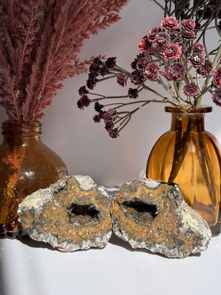 Mexican "Coconut" Geode Pair
