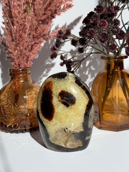 Septarian Freeform