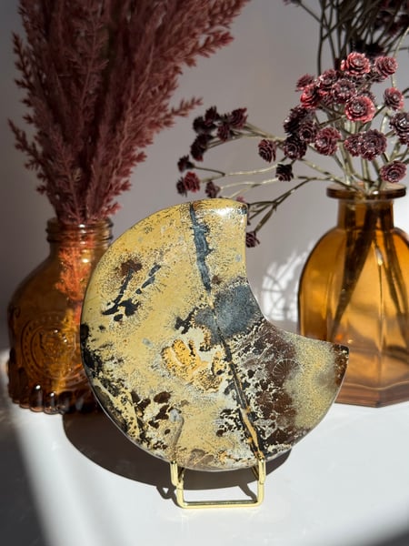 Picture Jasper Moon