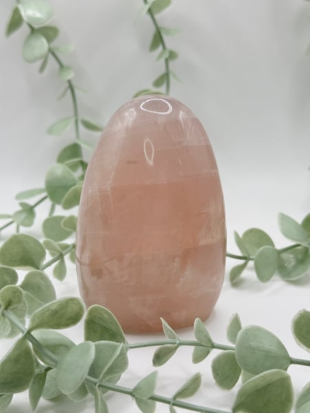 Rose Quartz Freeform