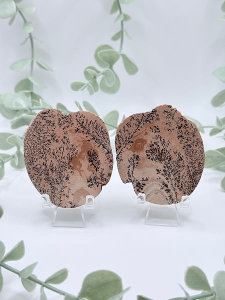 Dendritic Jasper Pairs - Amanda