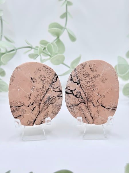 Dendritic Jasper Pairs - Amanda