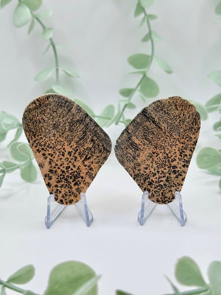 Dendritic Jasper Pair